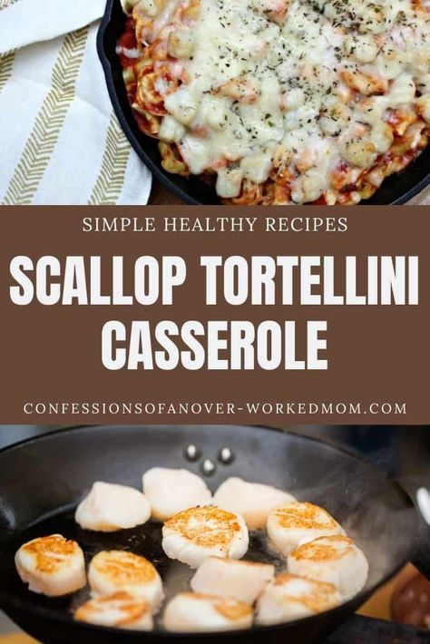 Scallop Tortellini Recipes, Seafood Tortellini Recipes, Seafood Tortellini, Pasta Tortellini, Cheese Tortellini Recipes, Tortellini Bake, Vegetarian Main Course, Tortellini Recipes, Scallop Recipes