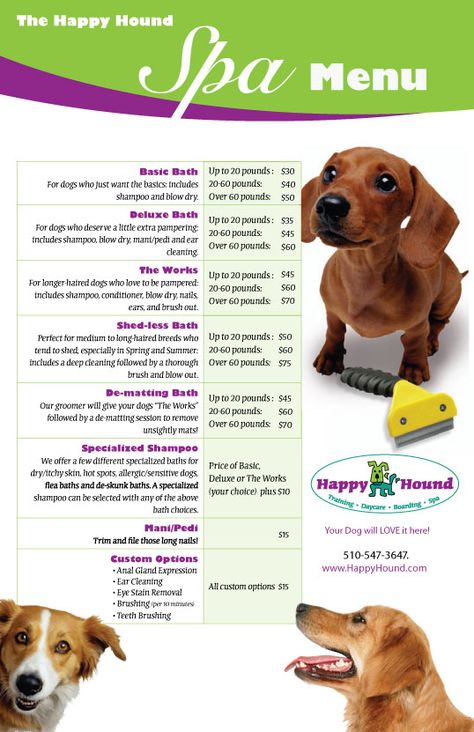 This is an example of what one of our a dog spa menus would look like. Owners can look it at this via our phone app or on our website. We can imagine that people who like to spoil their  dogs would like this sort of service, especially if they are gone during most of the day. This way their dog is entertained and they can be happy knowing their dog is safe. Dog Daycare Business, Spa Poster, Pet Grooming Business, Mobile Pet Grooming, Pet Grooming Salon, Grooming Business, Dog Grooming Shop, Spa Menu, Dog Spa