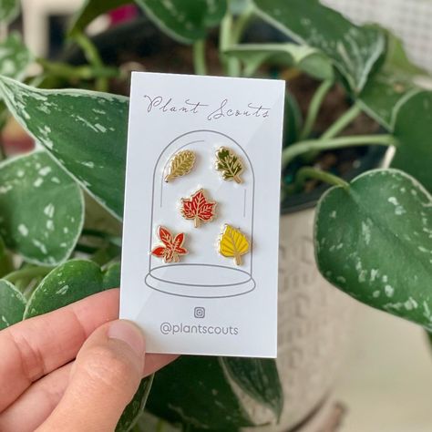 🌱 Plant Scouts 🌱 on Instagram: “These beautiful mini leaves pin set is available at PlantScouts! 💚🌱 . . . . . #minipins #leafpin #leaves #fallleaves #pincollector…” Tiny Library, Lapel Pins Suit, Enamel Pin Display, Plant Parent, Backpack Pins, Bag Pins, Plant Tags, Between Friends, Everyday Art