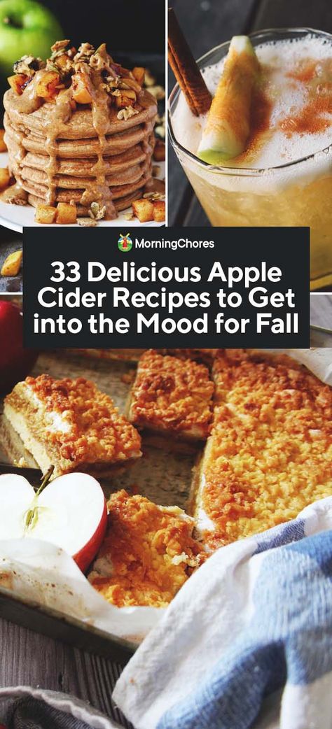 33 Delicious Apple Cider Recipes to Get into the Mood for Fall Recipes To Use Up Apple Cider, Recipe With Apple Cider Vinegar, Boiled Cider Recipes, Apple Cider Uses Food, Ways To Use Apple Cider, Apple Cider Ideas, Apple Cider Recipes Food, Recipes Using Apple Juice, Recipes Using Apple Cider