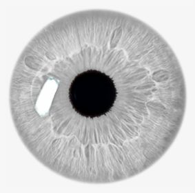 Eye Lens Png Hd, Eye Lens Png, Lens Png, Grey Filter, Eye Png, Stickers Transparent, Filter Aesthetic, Eye Lens, Eye Stickers