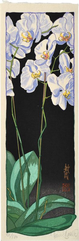 Scholten Japanese Art | Woodblock Prints | Paul Binnie Orchid - Night Moon Orchid, Orchid Drawing, Hiroshi Yoshida, Moving To San Diego, Japanese Woodblock, Japanese Woodblock Printing, Japanese Prints, Woodblock Print, Antique Prints