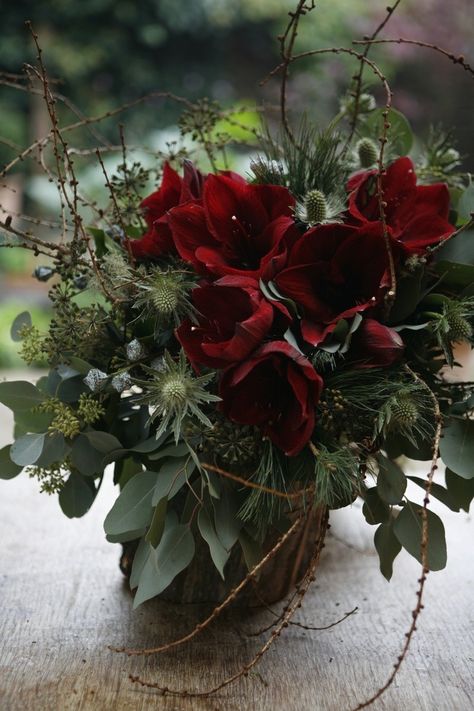 Winter Floral Bouquet, Amaryliss Christmas, Winter Bouquet Flowers, Christmas Flower Bouquet, Christmas Amaryllis, Amaryllis Bouquet, Amaryllis Arrangement, Amaryllis Christmas, Red Flower Arrangements