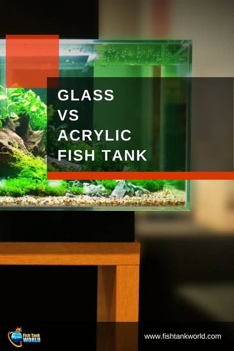 The debate about glass fish tanks vs acrylic aquariums has been on for some time among aquarist. What are the pros and cons of glass and acrylic fish tanks and what is the state of the art. via @fishtankworld0195 Diy Aquarium Filter, Glass Fish Tanks, Acrylic Aquarium, Coral Reef Aquarium, Aquarium Heater, Glass Aquarium, Aquaponic Gardening, Diy Aquarium, Home Aquarium