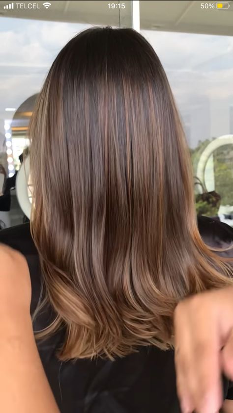 Saddle Balayage, Beige Gold Highlights, Balayage Straight Brown Hair, Almond Color Hair, Gold Brown Hair With Highlights, Warm Brown Balayage Straight Hair, Caramel Balayage For Dark Brown Hair, Light Brown Partial Highlights, Honey Brown Balayage Straight Hair