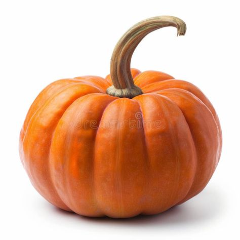 Fresh Orange Pumpkin Isolated on White stock photo Pumpkin Reference, Drawing Props, Pumpkin Image, Painted Animals, Pumpkin Images, Pumpkin Illustration, Pumpkin Photos, Market Poster, Fresh Orange