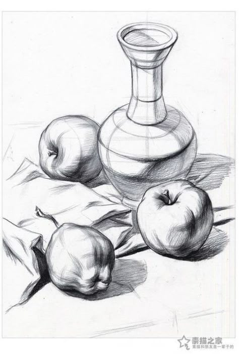 Still Life Sketch, Academic Drawing, Object Drawing, Basic Drawing, 수채화 그림, Still Life Drawing, Pencil Art Drawings, Still Life Art, Art Studies