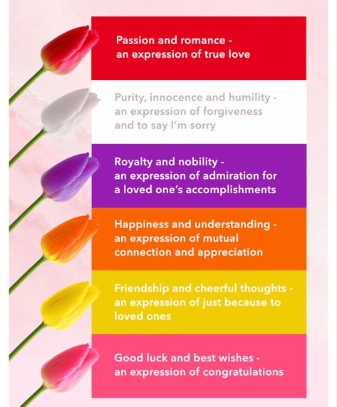 Tulips With Meaning, Flower Color Meanings Chart, Tulips Meaning Color, Tulip Meaning, Tulip Color Meaning, Tulips Aesthetic, Tulips Meaning Language Of Flowers, Pink Tulips Meaning, Purple Tulips Meaning