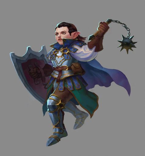 Gnome Paladin, Halfling Male, Female Cleric, Gnome Female, Fighter Dnd, Old Dragon, D D Classes, Pathfinder Character, Dnd Inspiration