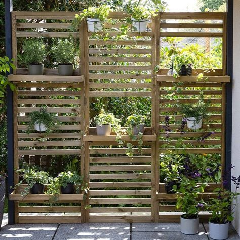 Garden Wall Planters, Living Plant Wall, Slatted Wall, Slatted Fence Panels, Garden Wall Planter, Vertical Garden Planters, Privacy Plants, Wall Planters, Vertical Planter