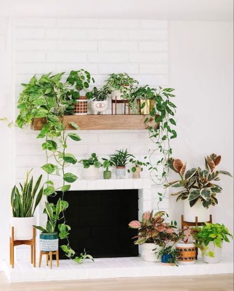 Plant Stands By Fireplace, Plants Over Fireplace, White Walls With Fireplace, Fireplace With Plants Decor, Bohemian Fireplace Mantle, Mantle Decor With Plants, Plants Near Fireplace, Plant Mantle Decor, Fireplace Mantle Plants