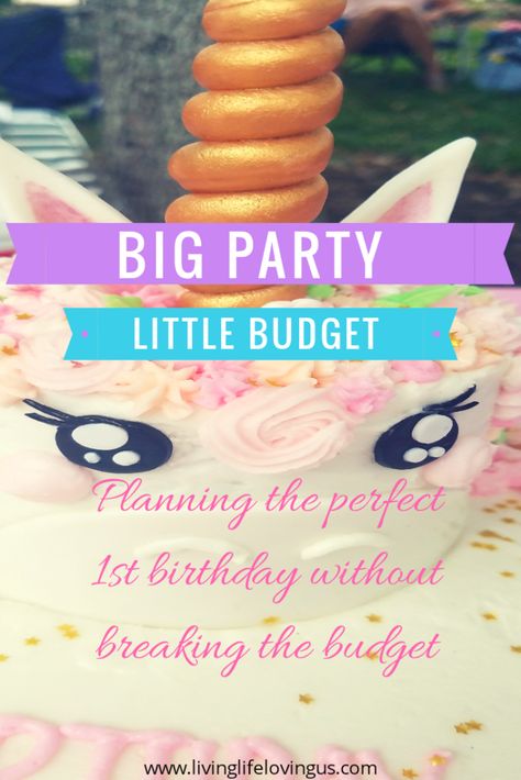 First Birthday Party On A Budget, 1st Birthday On A Budget, First Birthday On A Budget, Birthday On A Budget, 1st Birthday Foods, 1st Birthday Boy Themes, Diy Homeschool, Birthday Party Props, Budget Party