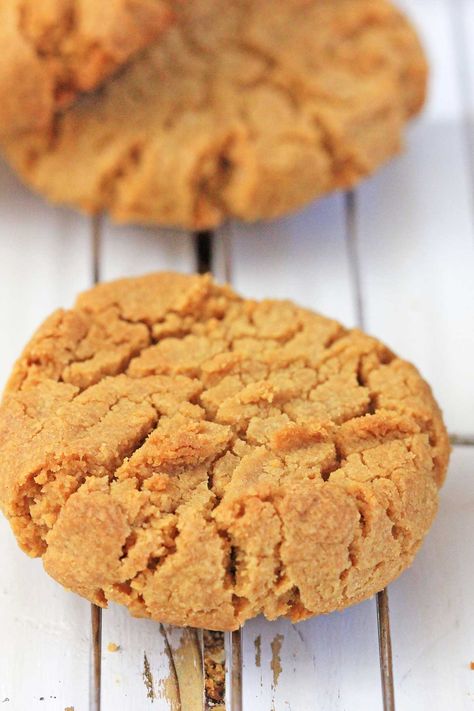 Sunflower Seed Butter Cookies, Sun Butter Balls, Sun Butter Cookies, Sun Butter Recipes, Sunflower Seed Cookies, Sunflower Butter Cookies, Sunbutter Cookies, Sunbutter Recipes, Sun Butter