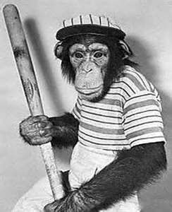 Play Ball! Aesthetic Monkey, Funny Artwork, Fantasy Baseball, Funny Baseball, Monkey Pictures, Baseball Pictures, Baseball Humor, In The Zoo, Classic Tattoo