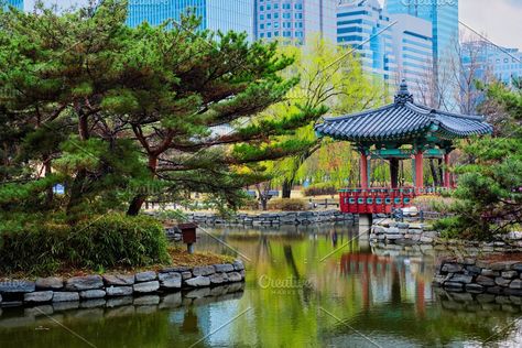 Yeouido Park, Seoul Park, Public Park, Seoul Korea, Trip Ideas, Summer House, South Korea, Seoul, Bucket List