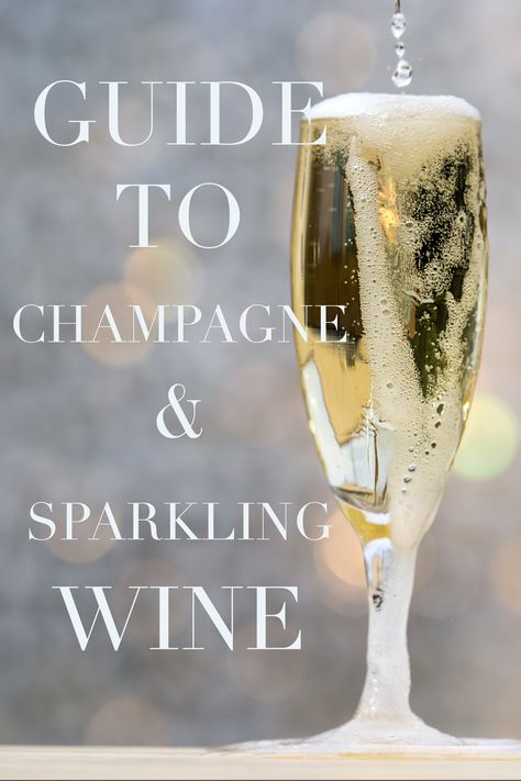 The Beginners Guide to Champagne & Sparkling Wine | This beginner's guide to champagne and sparkling wine will help you choose the perfect bubbly for your soiree. Wine Pairing Party, Best Sparkling Wine, Wine Facts, Serving Wine, Total Wine, Wine Cheese, Moscato, Wine Pairing, Sparkling Wine