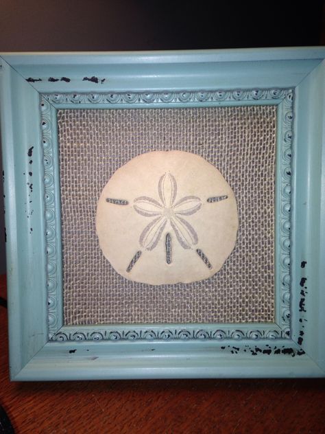 Sand dollar framed with burlap. Love it! Dollar Tree Coastal Decor, Sand Dollar Wall Decor, Display Sand Dollars, Sand Dollar Craft Wall Decor, Sand Dollar Wall Hanging, Sand Dollar Framed, Sand Dollar, Beach Crafts, Dollar Tree