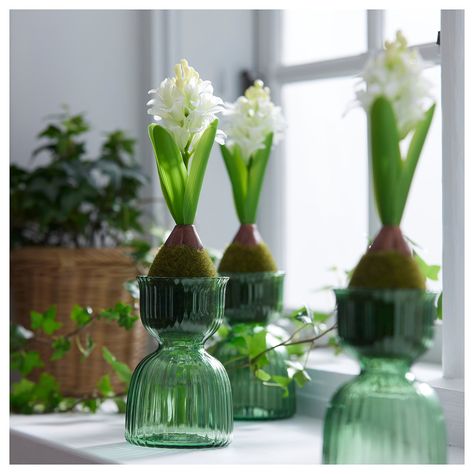 A decorative vase and a hyacinth are all that is needed to brighten up and add colour to the table for the Christmas celebrations – the vase matches perfectly with the other green glassware from the VINTERFINT collection. Ikea Ireland, Green Glassware, Dressing Tables, Modern Kitchens, Glass Vases, Vases Decor, Click Here, Table Settings, Vase