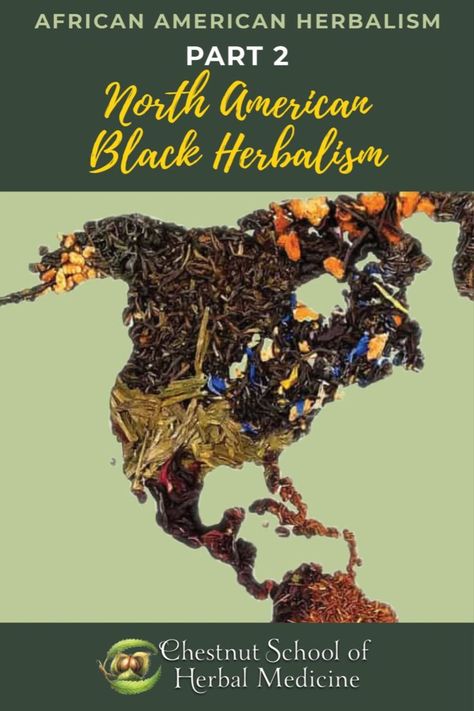 Many new or modified herbal traditions arose within Black communities in North America. These traditions were most celebrated, documented, and depended upon in the Southeast, where slavery was most concentrated. #herbs #herbalism #herbalist #herbalmedicine #medicinalherbs #plantmedicine #naturalremedies #gardening #selfreliance #blackherbalist #blackherbalism #bipocherbalism #bipocherbalist Indigenous Healing, Herbal Education, Medicinal Herbs Garden, Magic Herbs, Herbal Recipes, Herbal Healing, Healing Modalities, Wild Food, Food Garden