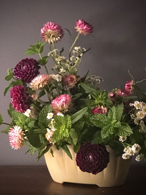 Floral arrangement of dahlia, strawflower and mint Floral Arrangement, Floral Designs, Dahlia, Floral Arrangements, Floral Design, Mint, Instagram Photos, Photo And Video, Instagram Photo