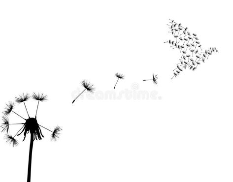 Dove and dandelion. Illustration with black dandelion on white background , #Affiliate, #Illustration, #dandelion, #Dove, #background, #white #ad Crochet Dandelion, Dandelion Bird Tattoos, Dandelion Tattoo Quote, Dandelion Tattoo Meaning, Dandelion Tattoos, Dandelion Pictures, Tattoos For Baby Boy, Small Symbol Tattoos, Music Notes Art