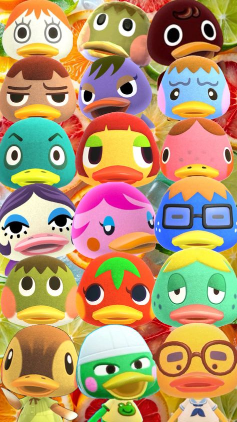 Animal Crossing Ducks #animalcrossing #animalcrossingaesthetic #animalcrossingshuffle #animalcrossingcore Animal Crossing Duck, Ducks, Animal Crossing, Animals