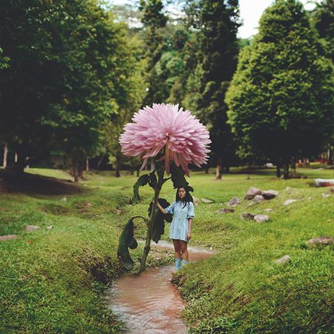 Giant Flowers, Lewis Carroll, Creative Portraits, Miyazaki, Pics Art, Flowers Photography, Self Portrait, Pre Wedding, Flower Power