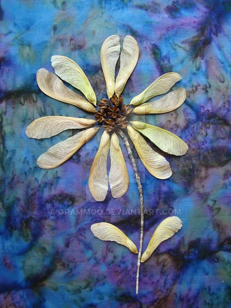 Maple Key Crafts, Sycamore Seeds Craft, Seed Flowers, Maple Tree Seeds, Daisy Doodle, Dragonfly Garden Decor, Sycamore Seed, Maple Seeds, Maple Seed