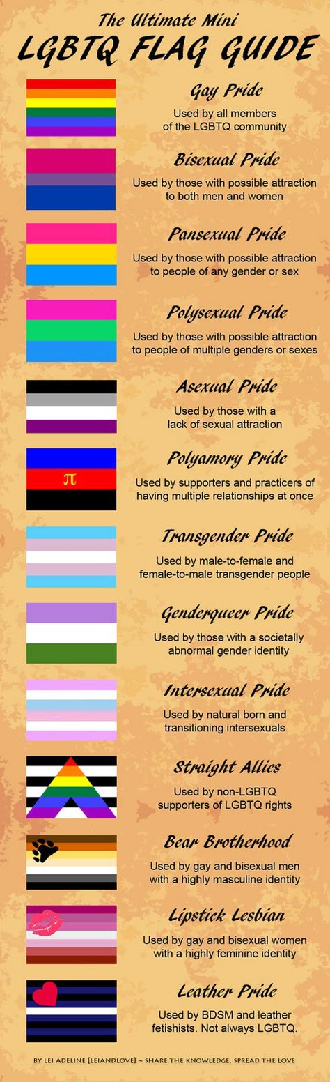 The Ultimate Mini LGBTQ Flag Guide Lgbtq Flag, Asexual Pride, Lgbtq Flags, Pansexual Pride, Lgbt Love, Lgbtq Pride, Lgbt Pride, Pride Flags, Gay Pride