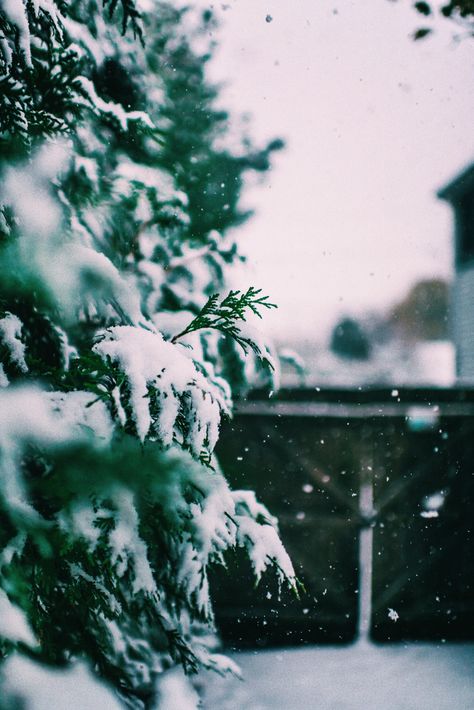 Snowfall Photography, Snowfall Wallpaper, Brandon Woelfel, First Snowfall, Winter Activity, Photography Challenge, Aesthetic Stuff, Winter Activities, New Quotes