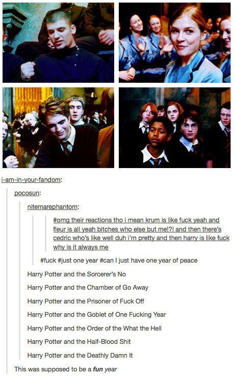 Harry Potter Tumblr Posts, Glume Harry Potter, Harry Potte, About Harry Potter, Yer A Wizard Harry, Harry Potter Tumblr, Harry Potter Headcannons, Harry Potter Things, Harry Potter Jokes