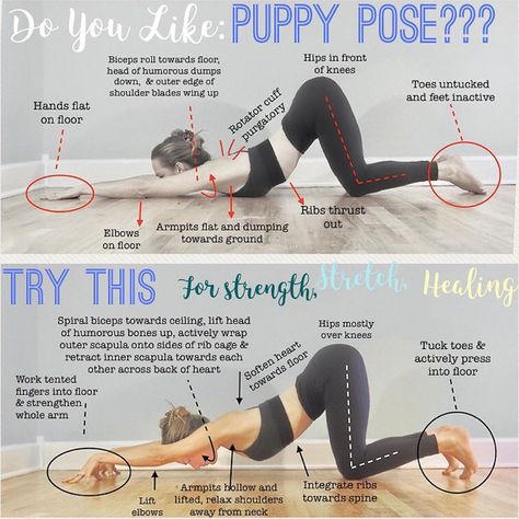 K A R L I E C H R I S T I N E on Instagram: “Who doesn’t LOVE Puppy Pose?! . 🐶  This back bending and shoulder opening pose is a frequent guest in my yoga practice and classes. But,…” Gain Muscle Fast, High Plank, Yoga Poses For Men, Yoga Kurse, Yoga Tutorial, Sup Yoga, Yoga Posen, Yoga Help, Yoga Exercises