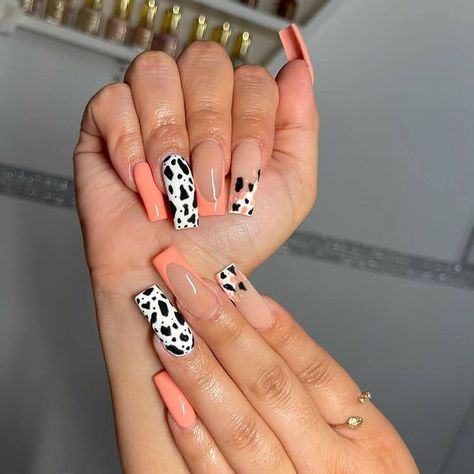 These beautiful cow print nail designs are cute, trendy, and so creative. There are almond cow print nails, stiletto cow print nails, coffin cow print nails and more. So if you're looking for nail design ideas, you're sure to find a great set of acrylic nails. Pink nail designs. Cow Print Nail Designs, Country Acrylic Nails, Rodeo Nails, Cow Print Nails, Cowboy Nails, Beautiful Dawn, Western Nails, Country Nails, Cow Nails