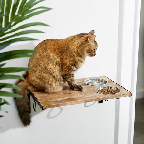 FRISCO Wall Mounted Wooden Cat Feeding Station, Natural, 2 Cup - Chewy.com Floating Cat Food Shelf, Cat Tree With Feeding Station, High Cat Food Station, Wall Mounted Cat Feeder, Wall Cat Feeding Station, Raised Cat Feeding Station, Cat Tree Feeding Station, Wall Mounted Cat Food Station, Cat Feeding Station In Kitchen