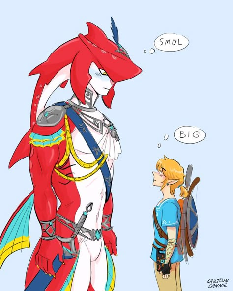 Trans Link, Link Sidon, Sidon Link, Link X Sidon, Bi Memes, Sidon X Link, Prince Sidon, Loz Botw, Nerd Memes