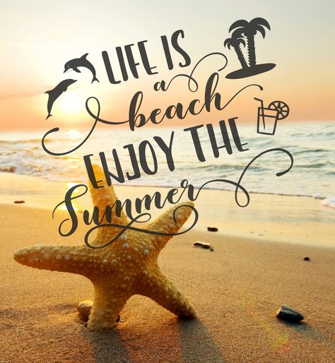 Life is a beach Enjoy the summer Funny summer quote for life Funny Summer Quotes, Fun Summer Quotes, Vacation Quotes Funny, Summertime Quotes, Beach Quotes Funny, Summer Beach Quotes, Summer Quote, Bear Quote, Funny Summer