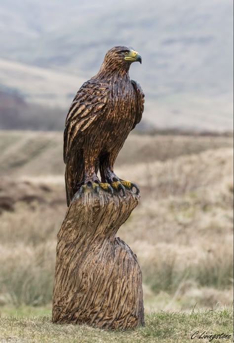 Eagle Wood Carving, Fox Carving, Chainsaw Carving Patterns, Eagle Carving, Chainsaw Sculpture, Chainsaw Wood Carving, Chainsaw Art, Wood Sculpture Art, Wood Spoon Carving