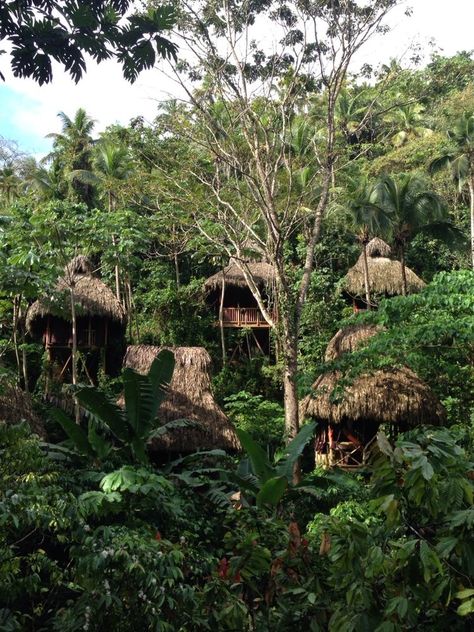 Jungle Treehouse Aesthetic, Tarzan Aesthetic, Hut Village, Jungle Treehouse, Living In The Jungle, Treehouse Village, Jungle Village, Jungle Hut, Tarzan Movie