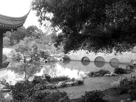 Water feature construction with bridge, pond and stream. http://otl-inc.com/projects/huntington-library-chinese-garden Huntington Library, Koi Ponds, Aquatic Plant, Water Pond, Chinese Garden, Koi Pond, Aquatic Plants, Water Feature, Ponds