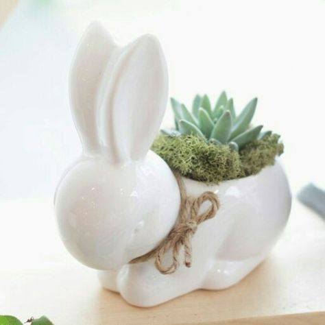 Bunny Succulent, Bunny Pot, Bunny Planter, Pottery Pinch Pot, Pottery Plant Pot, Dorm Room Wall Decor, Easter Illustration, Plastic Bottle Art, Beginner Pottery