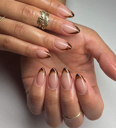 October Nails Inspiration, French Tip Tortoise Shell Nails, November Biab Nails, Neutral Nail Inspo Almond, Short Almond Shape Nails Designs, Fall Nail Inspo Almond Simple French, Almond Glass Nails, Cute Nails For Fall French Tip, Modern Fall Nails