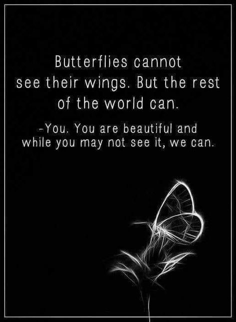 Butterfly Quotes, Intp, Infp, Infj, Positive Thoughts, Beautiful Quotes, The Words, Great Quotes, Wisdom Quotes