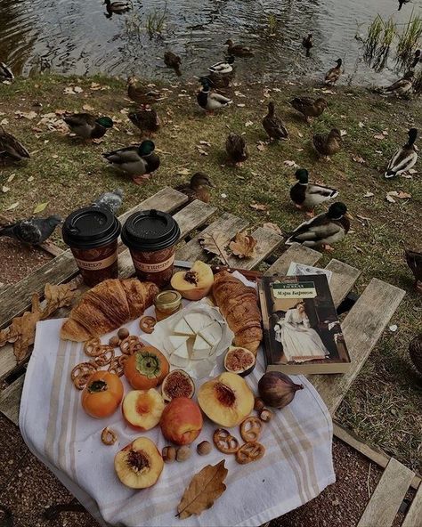 Fall Picnic Food, Fall Picnic, Autumn Instagram, Fall Mood Board, Fall Bucket List, Picnic Date, Picnic Food, Fall Inspo, Season Of The Witch