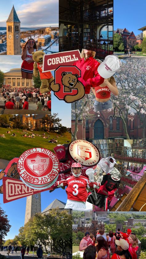 Cornell College, University Inspiration, College Vision Board, Dream Collage, College Motivation, Vision Board Wallpaper, College Aesthetic, Dream Vision Board, Dream College