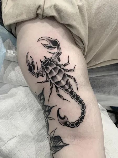 #tattoo #tattoos #inked #tattooart #tattooed #tattooideas #tattoodesign #tattooinspiration #tattoosleeve #tattooflash #inkedgirls #tattooedwomen  #InkLaughs  #TattooFails Scorpion Neotraditional Tattoo, American Old School Tattoo, Crocodile Tattoo, Ant Tattoo, Optical Illusion Tattoos, Illusion Tattoos, Lady Bug Tattoo, Tattoo Meanings, Scorpio Tattoo