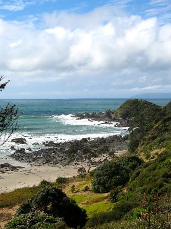 Tawharanui Regional Park - Warkworth, New Zealand Tarangire National Park, New Zealand Rotorua, Wai'anapanapa State Park, Redwoods Treewalk Rotorua, Gate Way, Wharariki Beach New Zealand, Bay Of Islands, South Island, Beautiful Sights