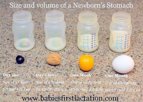 newborn stomach size visual, pictograph of newborn baby's stomach size, am I feeding my baby enough? Baby Stomach Size, Newborn Stomach Size, Baby Feeding Timeline, Foot Detox Soak, Newborn Nursing, Postpartum Care Kit, Newborn Schedule, Baby Life Hacks, Postpartum Care