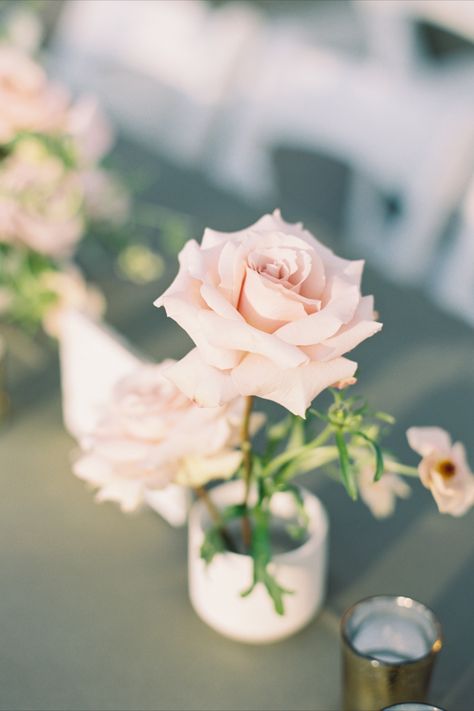 Ikebana styled bud vases with quicksand roses and butterfly ranunculus in Nashville, Tennesse Blush Bud Vases, Butterfly Ranunculus, Reception Florals, Floral Frog, Low Centerpieces, Farm Tables, Fall Color Palette, Farm Table, Fall Color