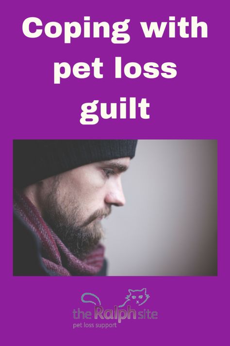 Coping with pet loss guilt | The Ralph Site Blog Coping With Pet Loss Cats, Coping With Pet Loss Dogs, Pet Bereavement Dogs, Cat Memorial Jewelry, Pet Condolences, Coping With Loss, Pet Bereavement, Dog Died, Pet Cremation