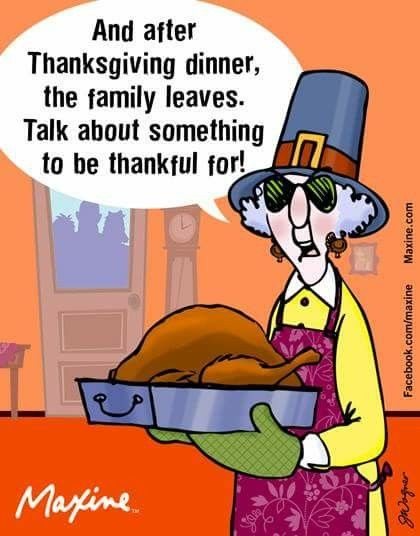 Happy Thanksgiving Memes, Funny Thanksgiving Pictures, Thanksgiving Meme, Happy Thanksgiving Funny, Thanksgiving Humor, Happy Thanksgiving Pictures, Thanksgiving Quotes Funny, Thanksgiving Jokes, Thanksgiving Cartoon